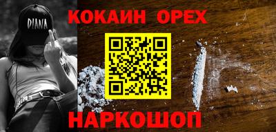 крисы Новозыбков