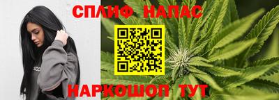 крисы Новозыбков