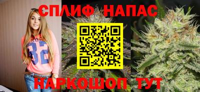 крисы Новозыбков