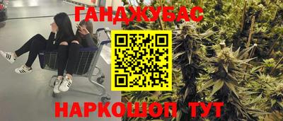 крисы Новозыбков