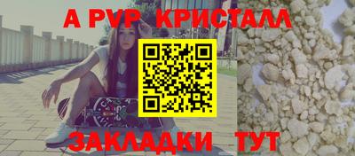 крисы Новозыбков