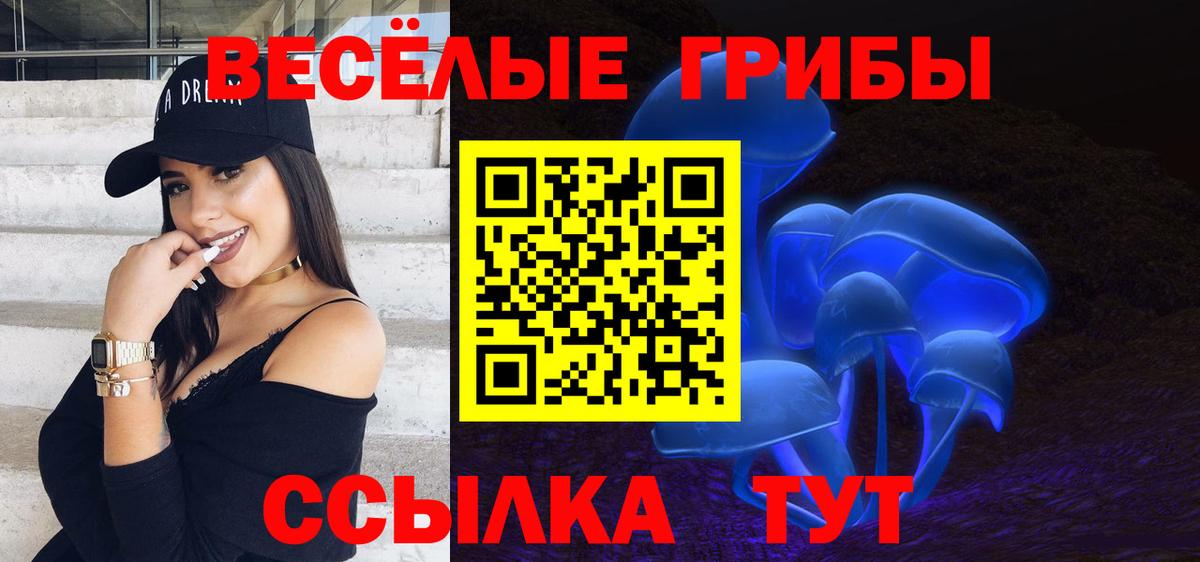 Галлюциногенные грибы Psilocybe Шарыпово